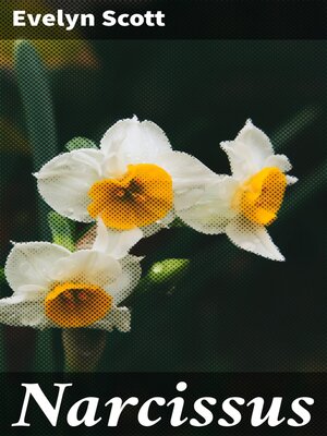 cover image of Narcissus